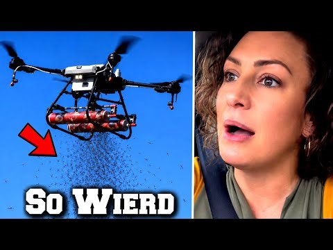 People Are Seeing Something Unusual All Over U.S.