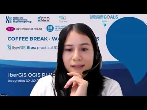 IBERGIS Sips: practical 1D and 2D flood modelling - 17/02/26