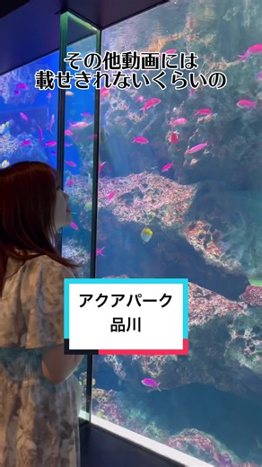 アクアパーク品川: 水族館デートプラン必見！