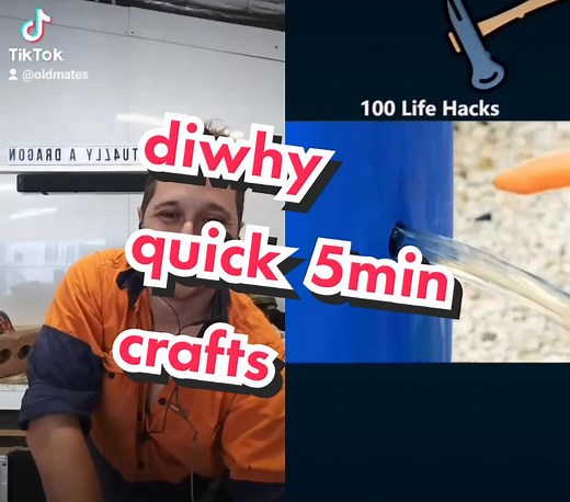 Dinosaurs Had Feathers: Debunking Myths