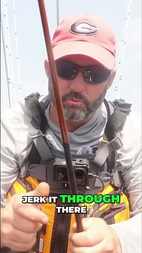 Wacky Rig Secrets: Catch More Fish with This Simple Trick!