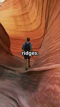 The Wave: Arizona's Hidden Rock Art