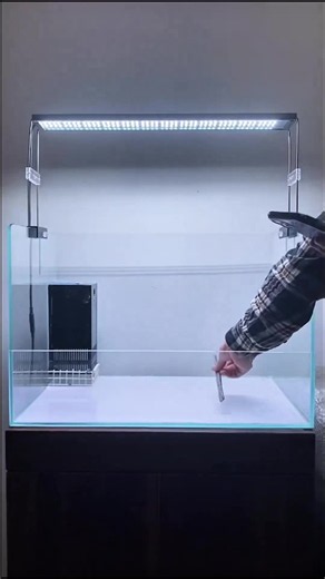 Setup new aquarium tank step-by-step guide