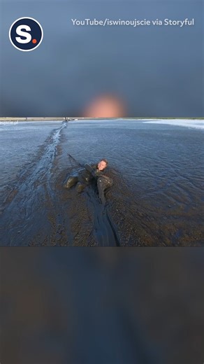 1.2M views · 8.7K reactions | A nature photographer came to the rescue of a white-tailed eagle that became stuck in thick coastal mud!礪❤ | storyful | Facebook
