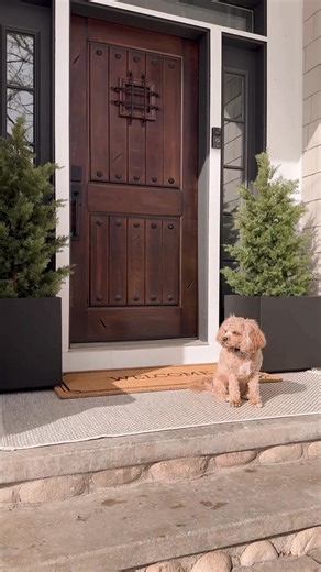 Modern Outdoor Planters from Veradek: Stylish & Durable