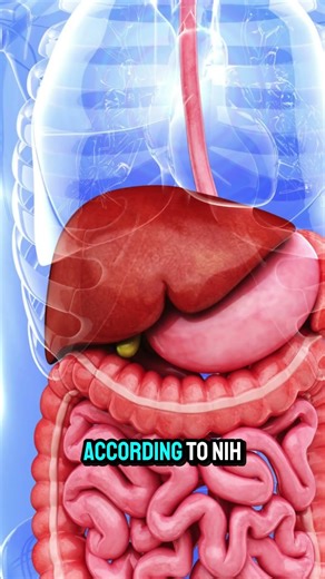 When the Stomach Fails: Early Signs You Shouldn’t Ignore