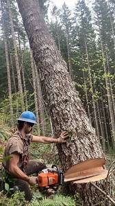 At the end of the day, hours are not worth anything. Click Below to Watch FULL VIDEO ⬇️ | Timber Falling Couple