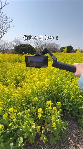 誰でもプロのように撮影できるジンバルの魅力