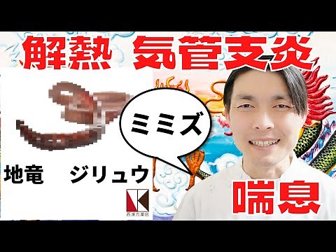 【漢方薬】地竜（ジリュウ）１分で分かる生薬解説 ～改訂版～