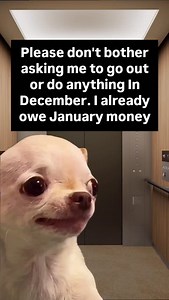 7.9K views · 1.6K reactions | 藍 The funniest Evil Dog official Meme page Follow or you won't find it again Grab merch in my bio evildogofficial.com | EvilDog Shamsy | Facebook