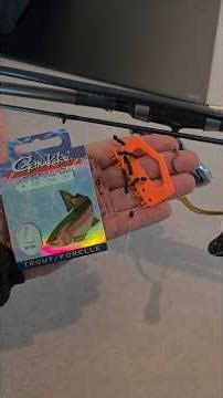 Trout fishing, bottom rig instructions 🎣🐟 #troutfishing #salmontrout #troutfishing #trout