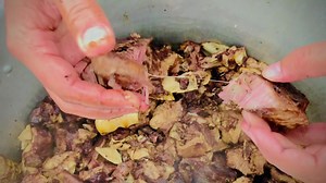 2.4K views · 100 reactions | Wedding ceremony ❤ Junaid khan Village Gadar | Yasar Hayat | Facebook