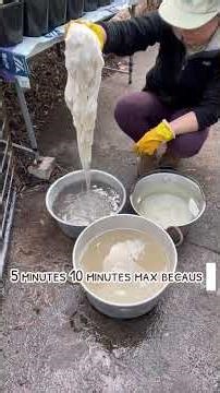 Washing raw sheep’s wool #handspunyarn #rawwool #fleecetoyarn #washingwool