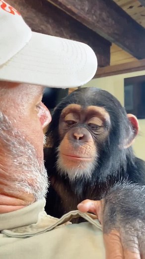 Adorable Monkey Couple at Myrtle Beach Safari - Animal Love Story
