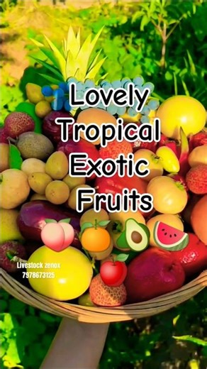 Lovely tropical exotic fruits || Tropical exotic fruits 😍🥝🥑🍉🍓🍏🫐#fruitfarming #shorts#farming #fyp#yt