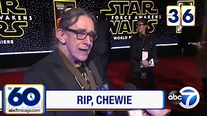 THE 60: Remembering Chewbacca actor Peter Mayhew