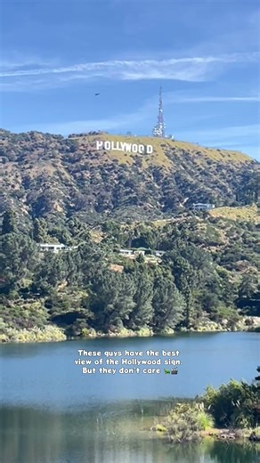 Hollywood Reservoir: Nature in Hollywood 🎬🐢✨