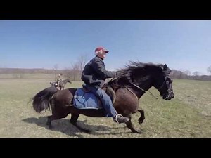 Region 4 All Age Championship Part 1