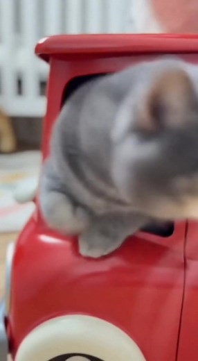 A to właśnie moja STARA ⭐ ! Tra, la, la 👵 #babcia #kot #smieszne #auto | Ale Głupie Filmy