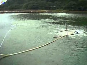 Aero-Tube™ Diffuser for Aquaculture