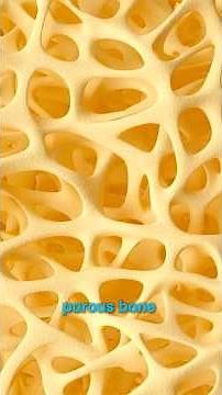 Osteoporosis and Osteopenia Explained (part 1/5)