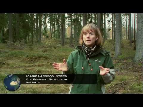The Swedish forestry model : Environmental atlas of Europe