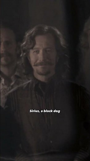 The 5 Unregistered Animagus mentioned in Harry Potter