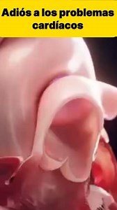 4.3M views · 91K reactions | El Secreto Chino para Blindar tu Corazón...