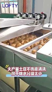 Vegetable Washer---Fruit Washer Machine #restaurant #vegetable #fruit