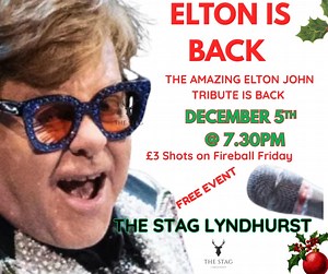 1K views · 12 reactions | ELTON JOHN IN LYNDHURST Elton John tribute returns to The Stag Lyndhurst This Friday 5th December a great night of entertainment, we have limited spaces and we recommend you call now to book. 02380 282 999 @followers #lyndhurst #lyndhursthighstreet #newforestnationalpark #totton #brockenhurst #lymington #eltonjohn #livemusic Lyndhurst High Street | The Stag Lyndhurst | Facebook