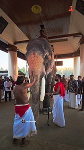രാമനുവേണ്ടി മനമുരുകി പ്രാർത്ഥിക്കുന്ന രാമേട്ടൻ🙏🏻🥺❤️🫶🏻 #sreeramajayam #thechikottukavuramachandran #sap_ramanist #thriprayar_temple #ramettan | Thechikottukavu Ramachandran