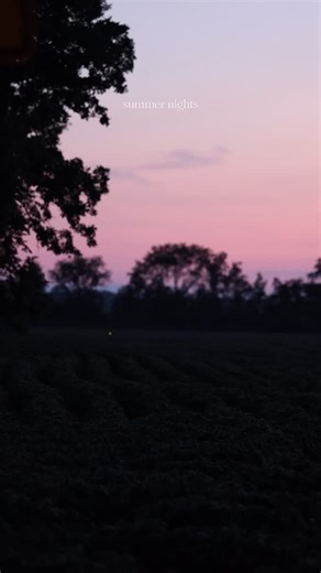 4.9K views · 191 reactions | Do you call them fire flies or lightening bugs? #fireflies #lighteningbugs #summeronthefarm #summernights | Mary Pat Sass | Facebook