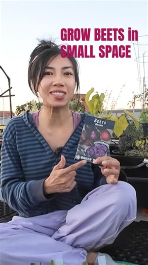 The Secret to Growing Lots of Beets in Small Spaces 🌱