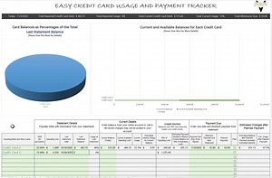 Easy Credit Card Usage, Payment, Interest Calculator Tracker Spreadsheet | Microsoft Excel and Google Sheets Instant Digital Download - Etsy