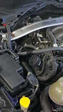 1 way check valve 2018 mustang for catch can