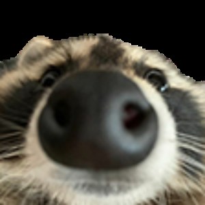 kiwitrashbot - Twitch