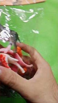 Mini Animal Toys ASMR Unboxing | Farm, Zoo & Duck Toys Tapping on Green Chart