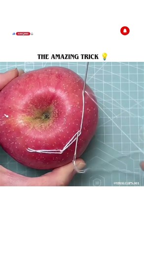 The Amazing Trick For Clothes 🍎
