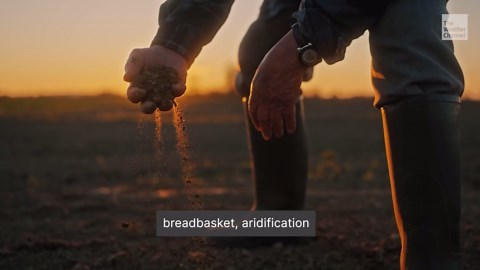 U.S. Agriculture At Serious Risk Of Aridification, Study Finds