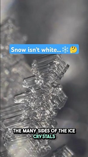 Did you know snow is not white? ❄️🤔 #snow #factshorts