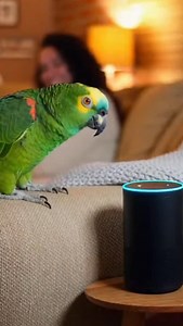 This parrot isn’t just talking back to the smart speaker — he’s running the whole show 😂🦜🎙️ Tech doesn’t stand a chance. #ParrotPower #BirdComedy #SmartHomeChaos #FunnyPetReels #TalkingBirdVibes #PetTok #ViralPets #BirdTok #FYP | Epicreading.co.uk