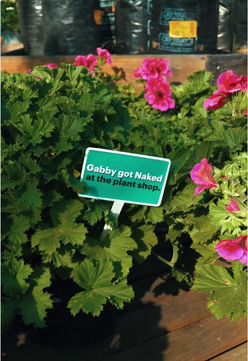 Gabby bought car insurance while deciding between begonias and fuchsias. All online, no phone call required.