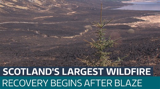 Area the size of Edinburgh damaged by wildfires in Scotland - Latest From ITV News