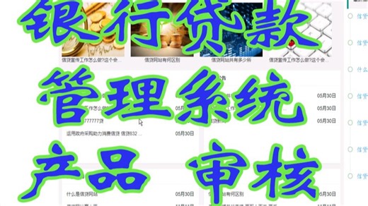 银行信贷贷款管理系统基于Spring BootSSM