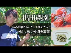 長崎県島原市イチゴ農家【出田農園】をご紹介！一緒に働く仲間を募集！