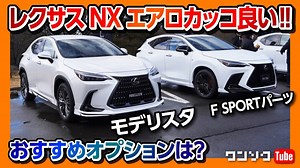 【新型レクサスNXのエアロがカッコ良い!!】モデリスタ & F SPORTパーツ、おすすめオプションをレポート! ワイもこれ買う! | LEXUS NX MODELLISTA | 気軽に！！