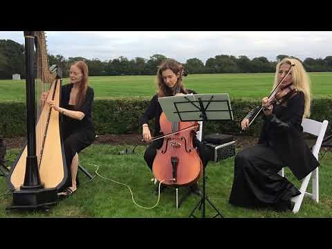 Classical Trio -- Harp Violin Cello -- Pachelbel's Canon
