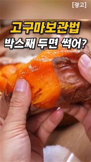 고구마 보관법 썩지 않게 보관하는 꿀팁