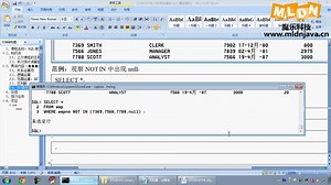 13_SQL限定查询（IN运算）