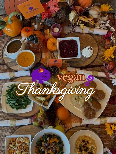 The Purple Elephant on Reels